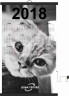 Настенный пленочный обогреватель серия календари "Фотогеничный кот"