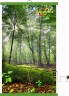 Настенный пленочный обогреватель серия природа "Зеленый лес"