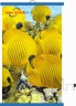 Настенный пленочный обогреватель серия подводный мир "Желтые рыбы"