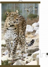 Настенный пленочный обогреватель серия животные "Леопард"