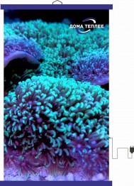 Настенный пленочный обогреватель серия подводный мир "Подводная красота"